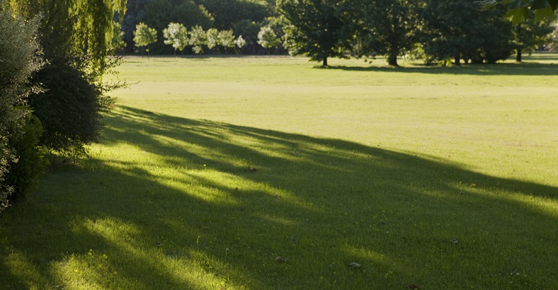 Parcela Básica Oeste